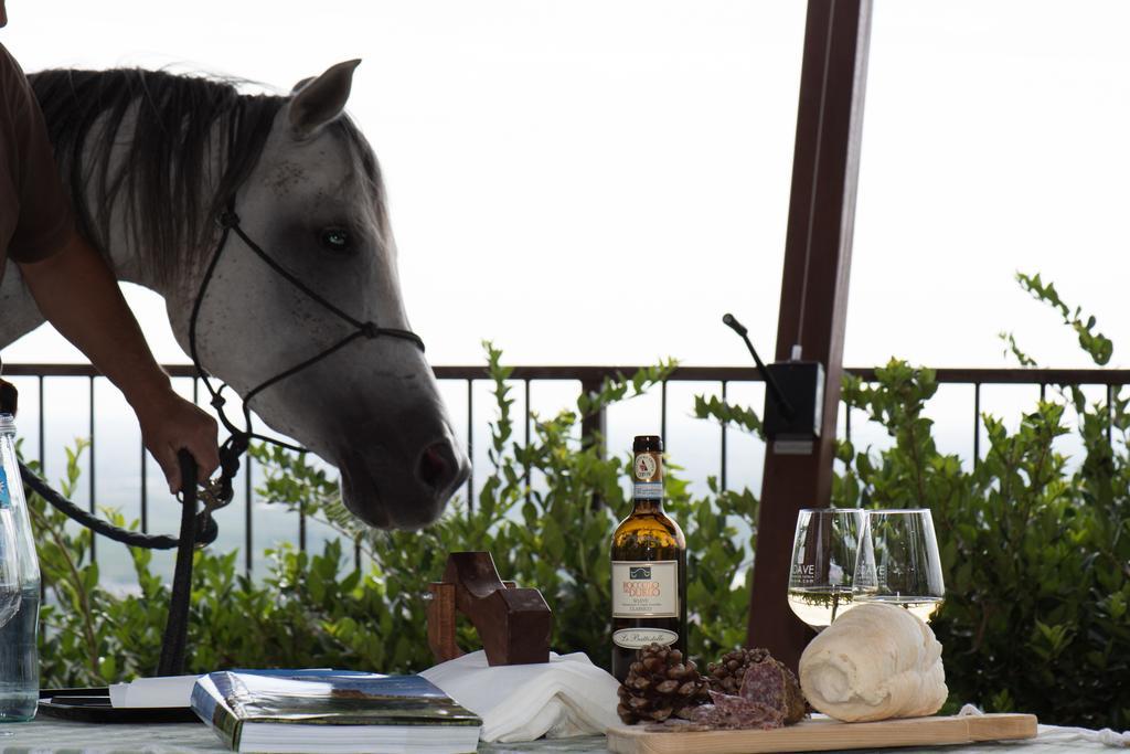Casa Costa Relais B&B Monteforte dʼAlpone Εξωτερικό φωτογραφία