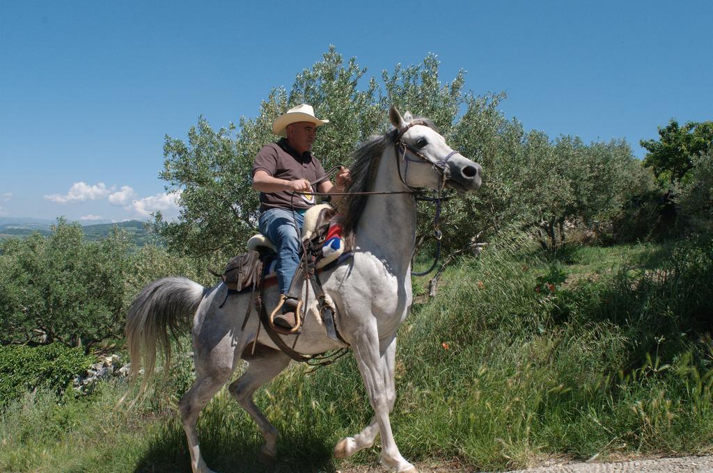 Casa Costa Relais B&B Monteforte dʼAlpone Εξωτερικό φωτογραφία