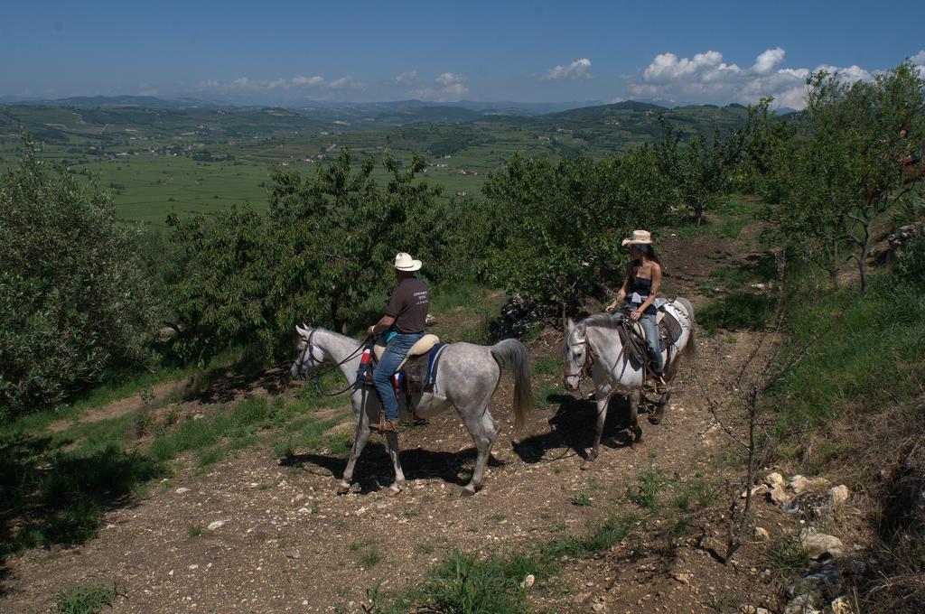 Casa Costa Relais B&B Monteforte dʼAlpone Εξωτερικό φωτογραφία