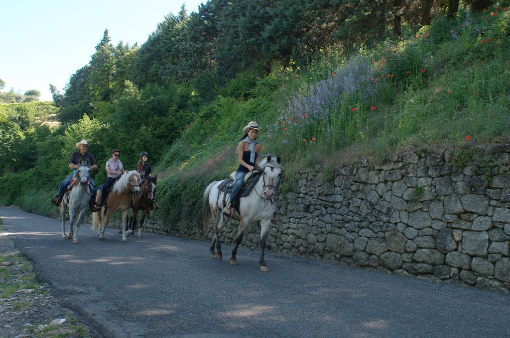 Casa Costa Relais B&B Monteforte dʼAlpone Εξωτερικό φωτογραφία